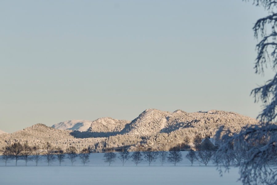 inversion in Norwegian