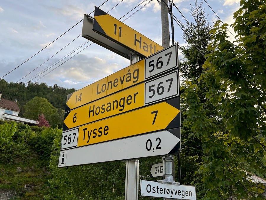 lingua neo-norvegese