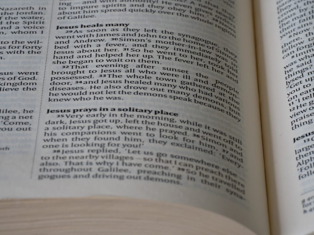 Photo dizionario online Nynorsk