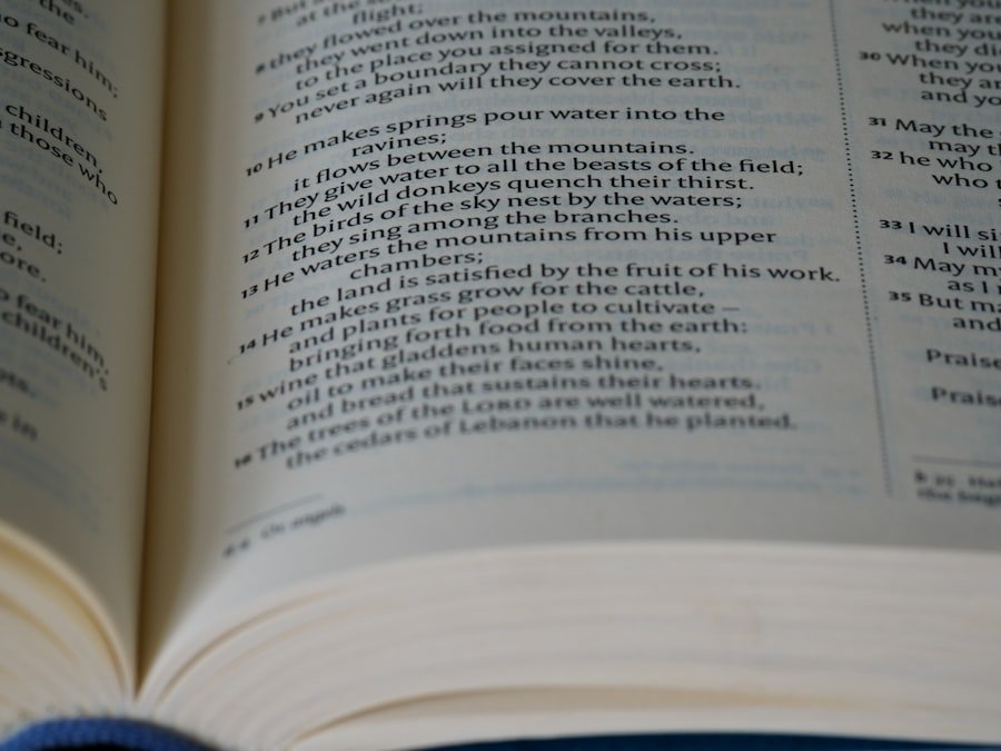 Photo dizionario online Nynorsk