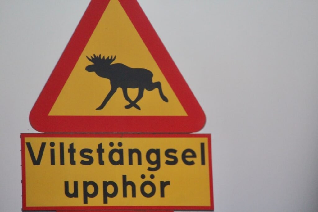 Photo spelling Nynorsk